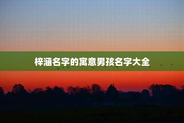 梓涵名字的寓意男孩名字大全