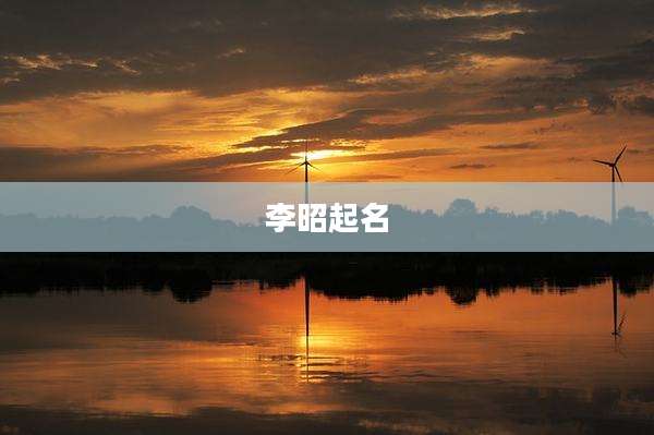 李昭起名