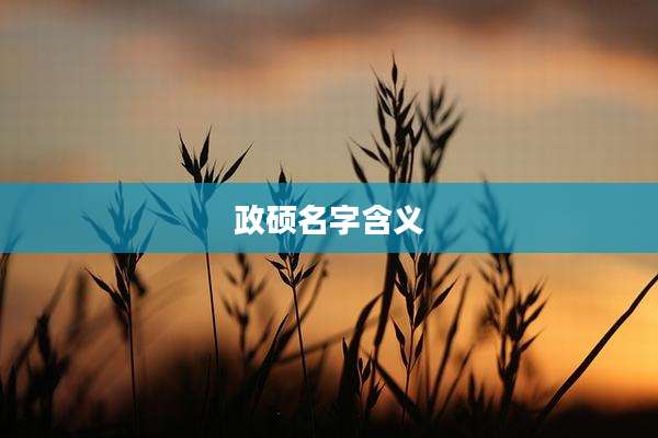 政硕名字含义