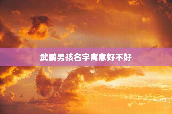 武鹏男孩名字寓意好不好