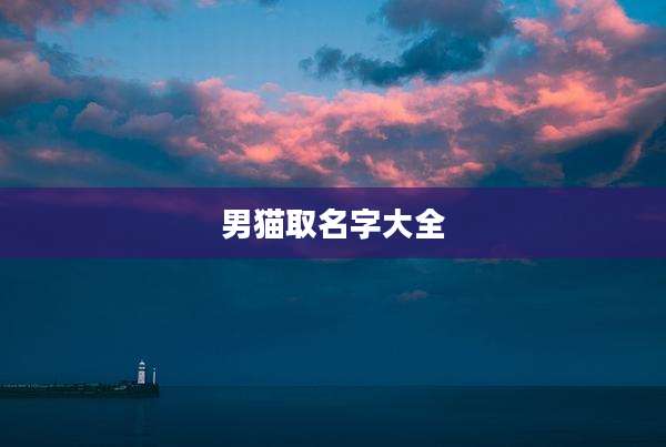男猫取名字大全