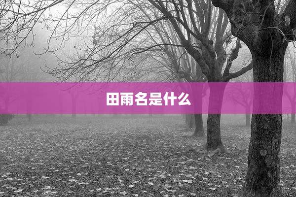 田雨名是什么