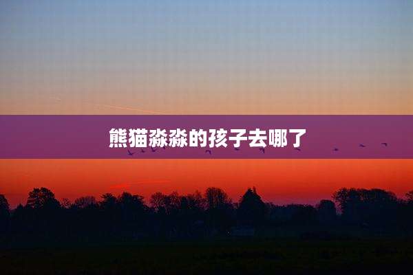 熊猫淼淼的孩子去哪了