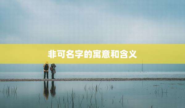 非可名字的寓意和含义