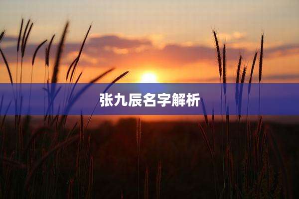 张九辰名字解析
