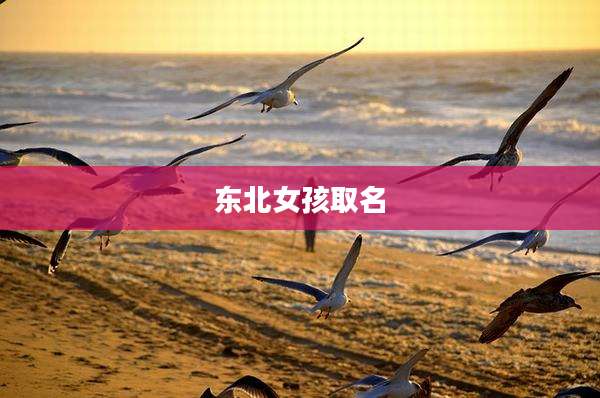 东北女孩取名