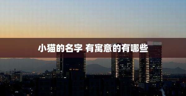 小猫的名字 有寓意的有哪些