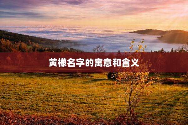黄檬名字的寓意和含义