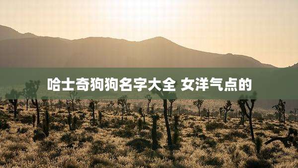 哈士奇狗狗名字大全 女洋气点的