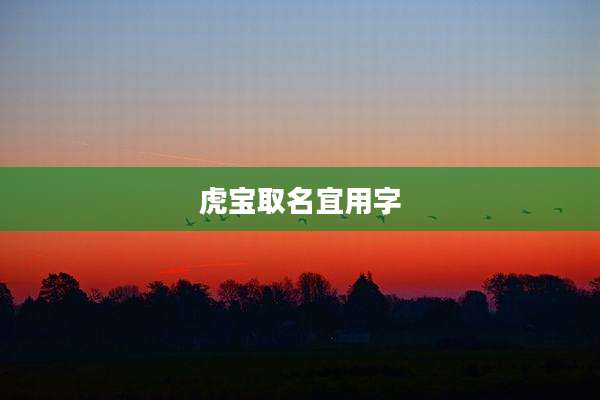 虎宝取名宜用字