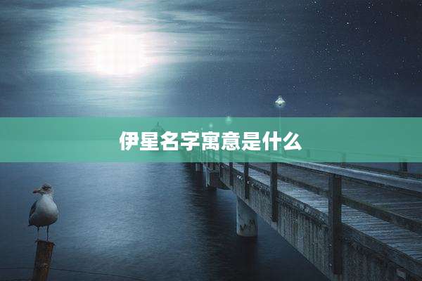 伊星名字寓意是什么
