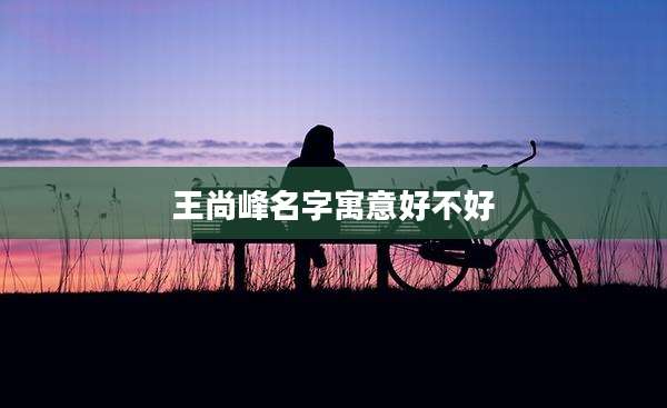 王尚峰名字寓意好不好