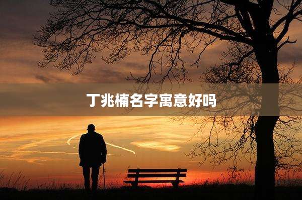 丁兆楠名字寓意好吗