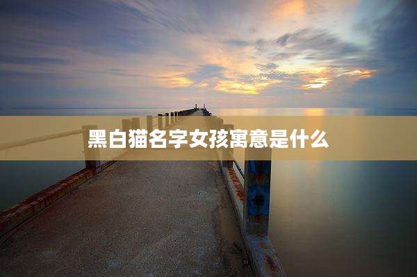 黑白猫名字女孩寓意是什么