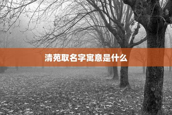 清苑取名字寓意是什么