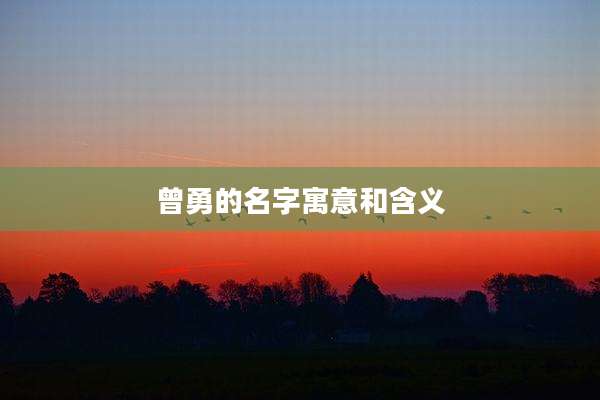 曾勇的名字寓意和含义