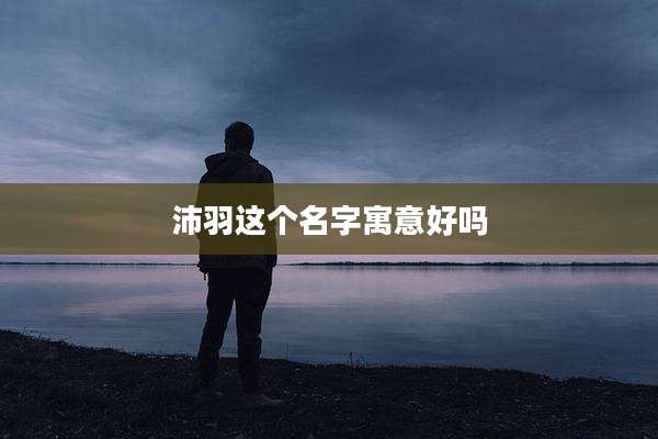 沛羽这个名字寓意好吗