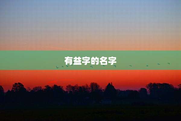 有益字的名字