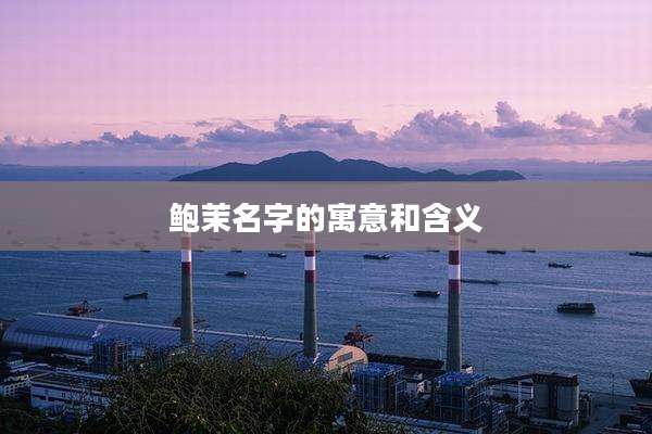 鲍茉名字的寓意和含义