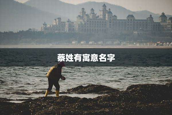 蔡姓有寓意名字