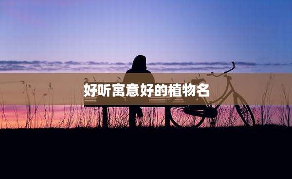 好听寓意好的植物名