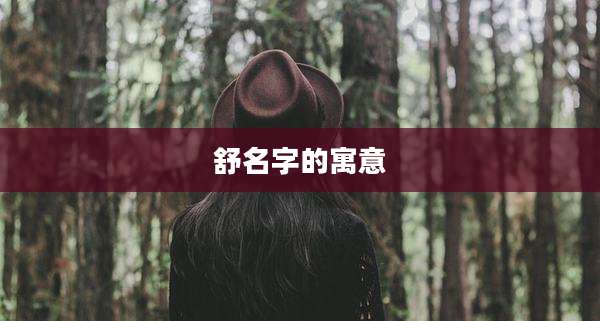 舒名字的寓意