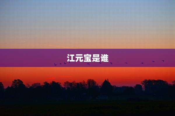 江元宝是谁
