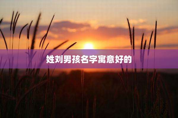 姓刘男孩名字寓意好的