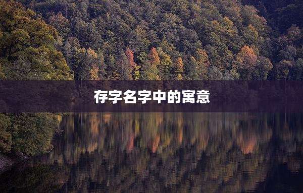 存字名字中的寓意