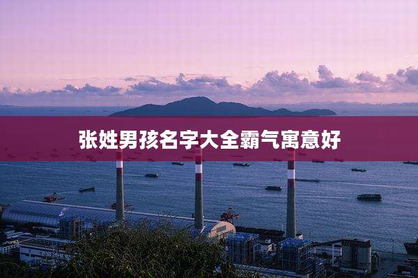 张姓男孩名字大全霸气寓意好