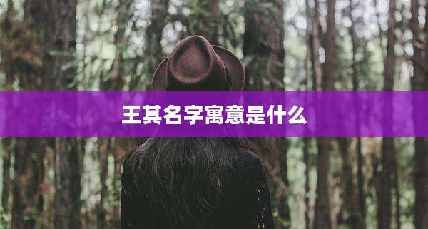 王其名字寓意是什么