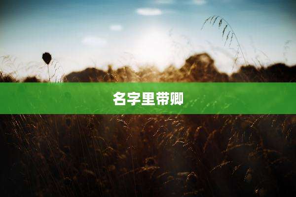 名字里带卿