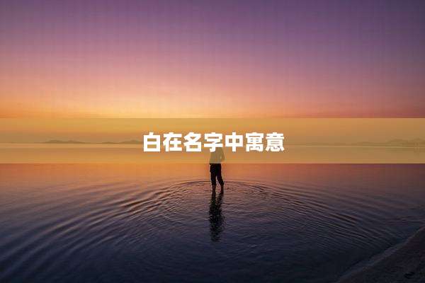 白在名字中寓意