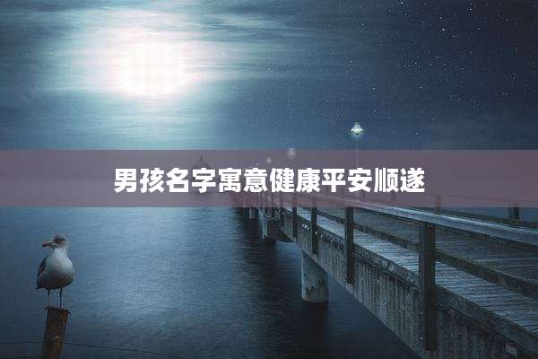 男孩名字寓意健康平安顺遂