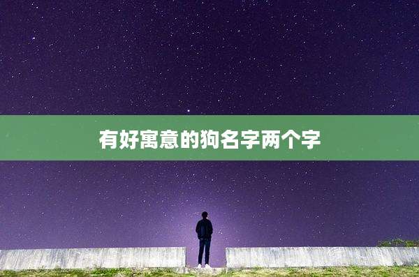 有好寓意的狗名字两个字