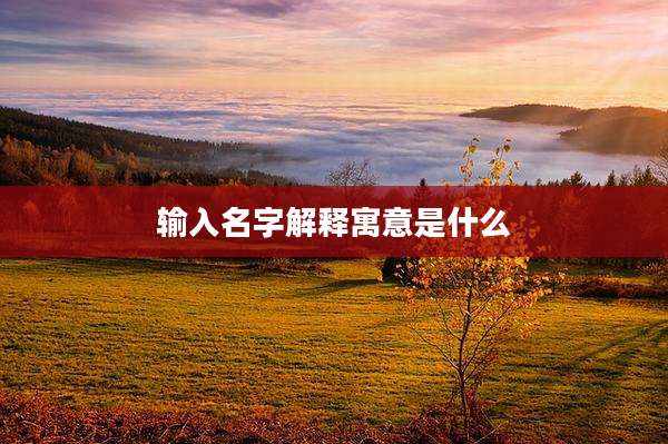 输入名字解释寓意是什么