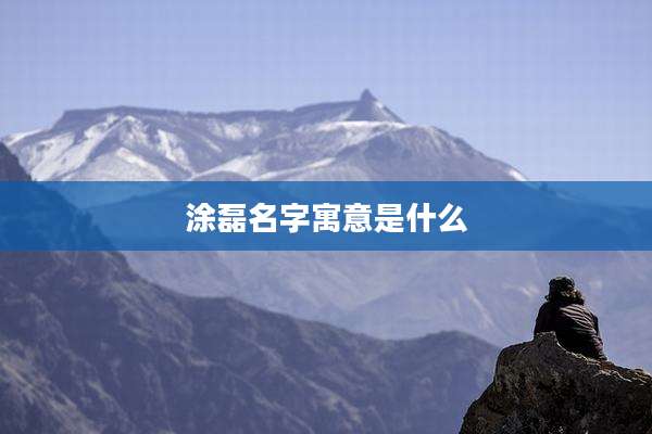 涂磊名字寓意是什么