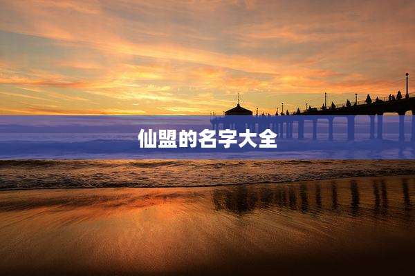 仙盟的名字大全