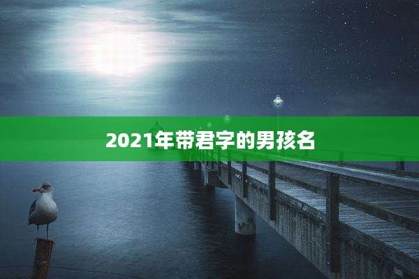 2021年带君字的男孩名