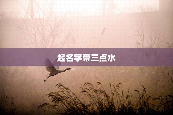 起名字带三点水