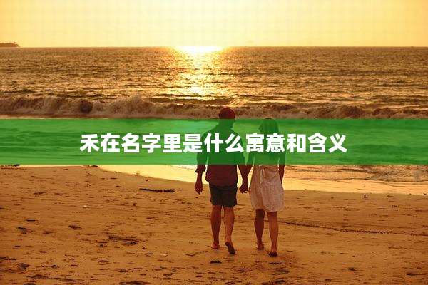 禾在名字里是什么寓意和含义