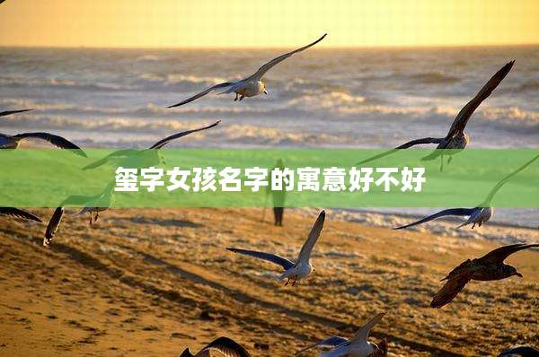 玺字女孩名字的寓意好不好