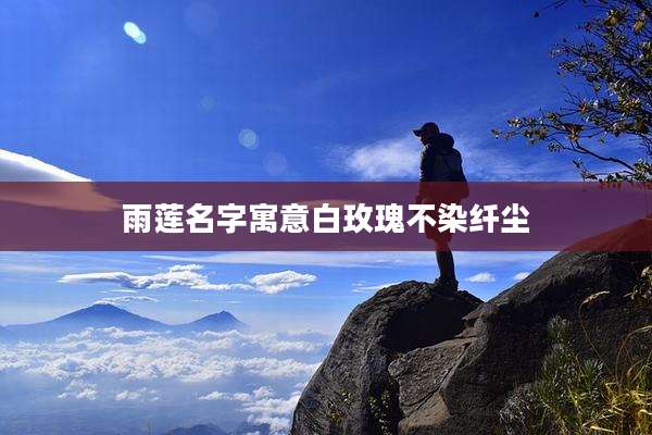 雨莲名字寓意白玫瑰不染纤尘