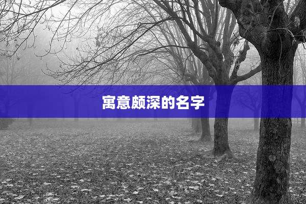 寓意颇深的名字