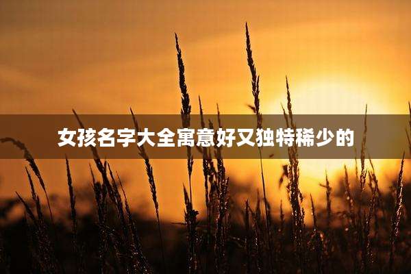 女孩名字大全寓意好又独特稀少的