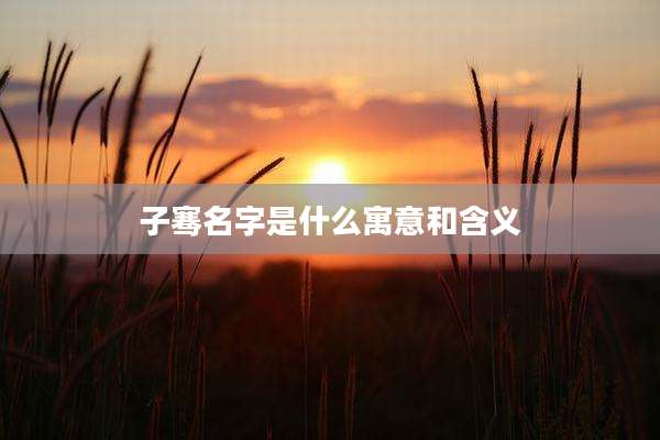 子骞名字是什么寓意和含义
