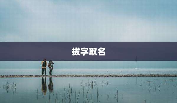 拔字取名