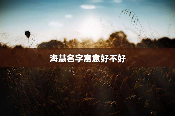 海慧名字寓意好不好