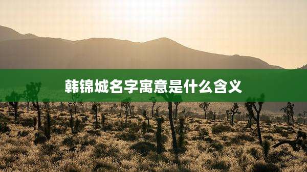 韩锦城名字寓意是什么含义