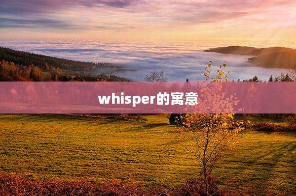 whisper的寓意